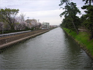 綾瀬川 草加松並木 綾瀬川―草加松並木
